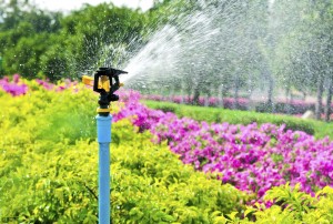 Sprinkler system spring garden